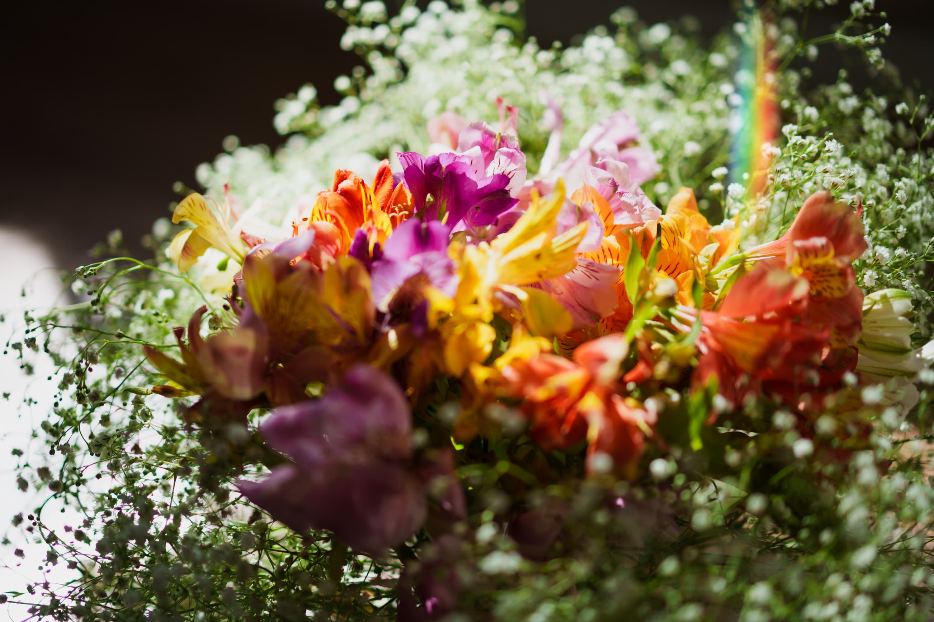 Bouquet de fleurs colorées